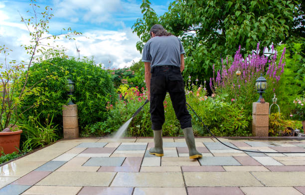 Best Animal Enclosure Cleaning  in , TX